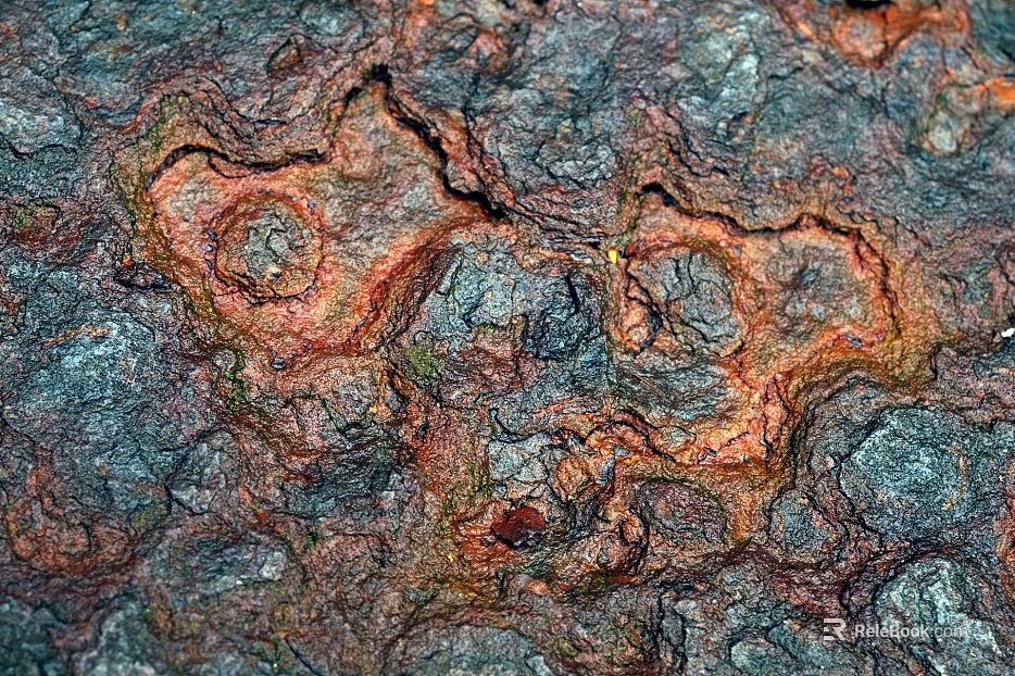 bark texture