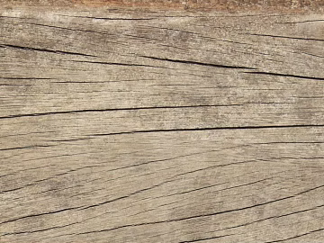 Trunk texture (ID:ffacg00627)