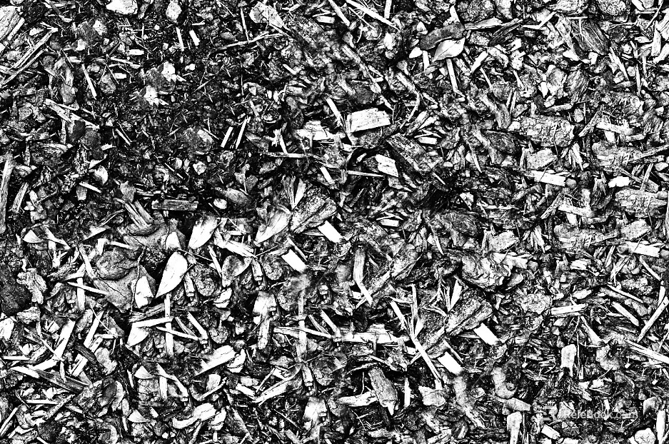 Black and White Bump texture