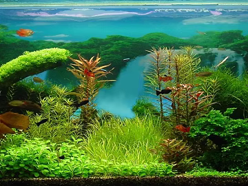 Fish tank texture (ID:ffagg04984)