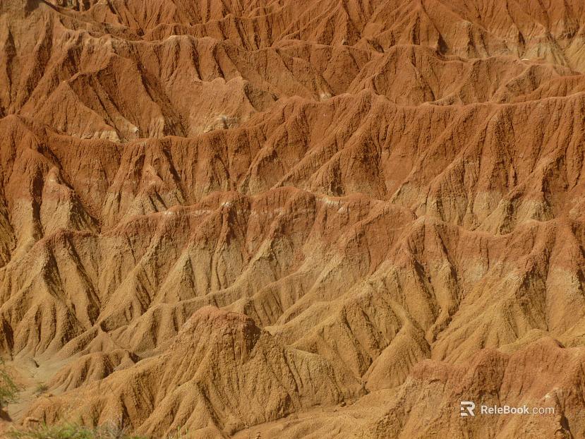 Wild Scenery texture