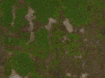 moss texture (ID:ffagg22375)