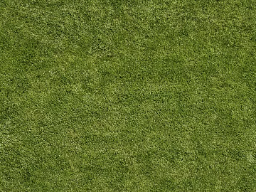Turf texture (ID:ffaeg80887)