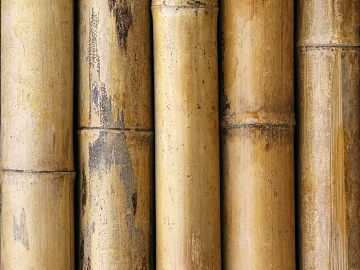Bamboo texture (ID:ffabf4318)