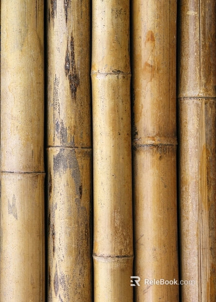 Bamboo texture