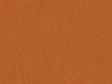 Coarse-grain leather 3d model
