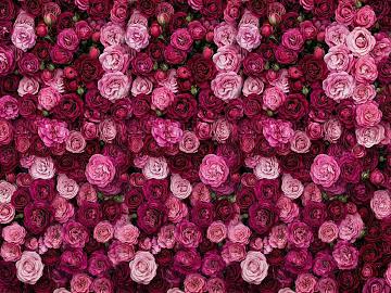 rose flower wall 3d model