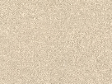 fine grain leather texture (ID:ffajg15264)