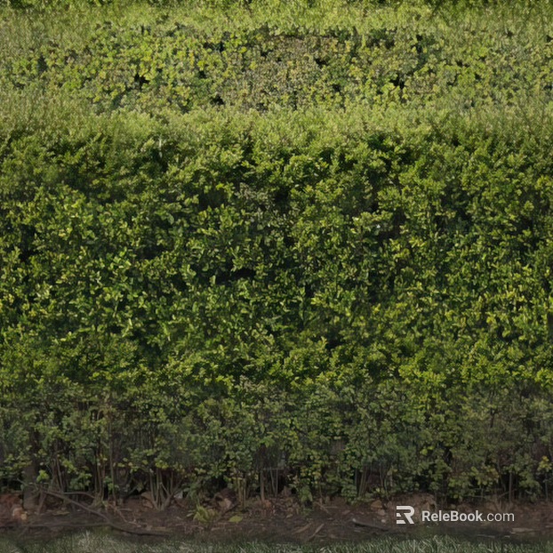 moss texture
