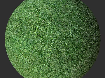 Turf PBR texture (ID:ffach286351)