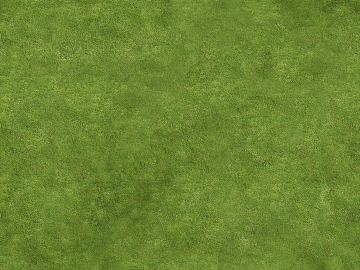 Turf texture (ID:ffacg08114)