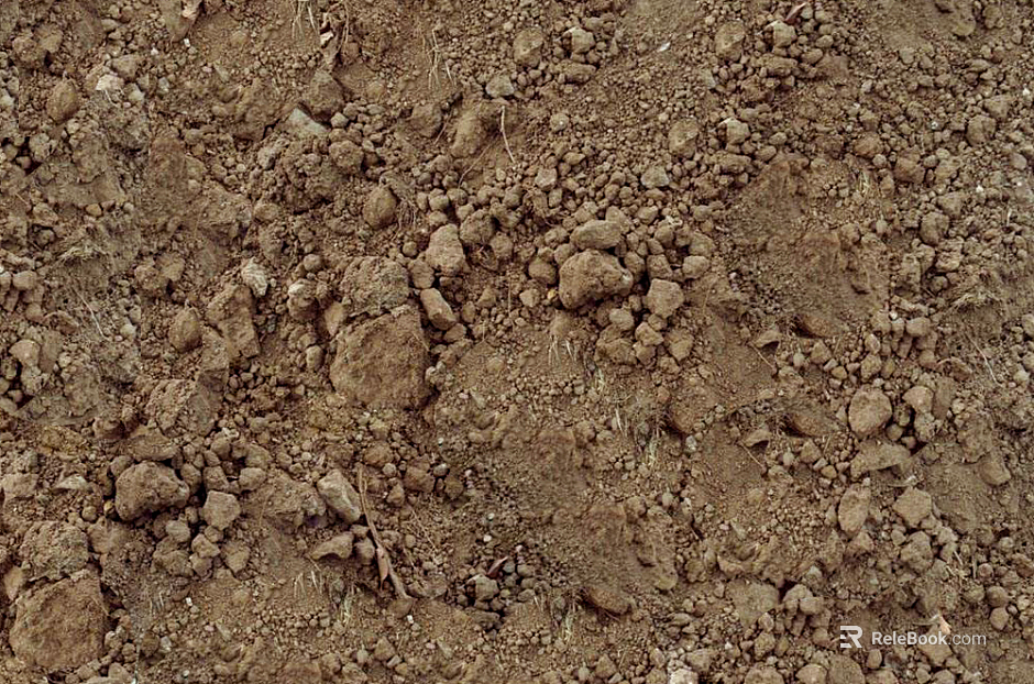 Sand texture