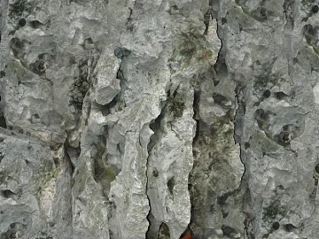 mountain rock wall texture (ID:ffagg56742)