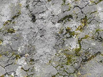 New Chinese gray chapped grass texture (ID:ffajh511306)
