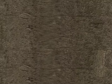 Dark gray-brown wood grain wall paneling 3d model