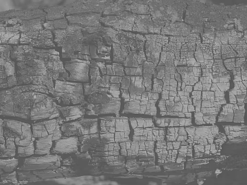 Black and White Bump texture (ID:ffach401361)