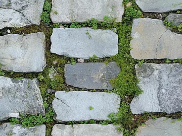 Stone Paving Stone texture (ID:ffach594450)