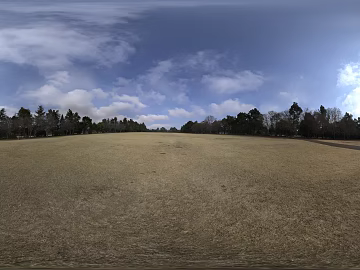 Outdoor Woods Meadow Day HDR texture (ID:ffabg54961)