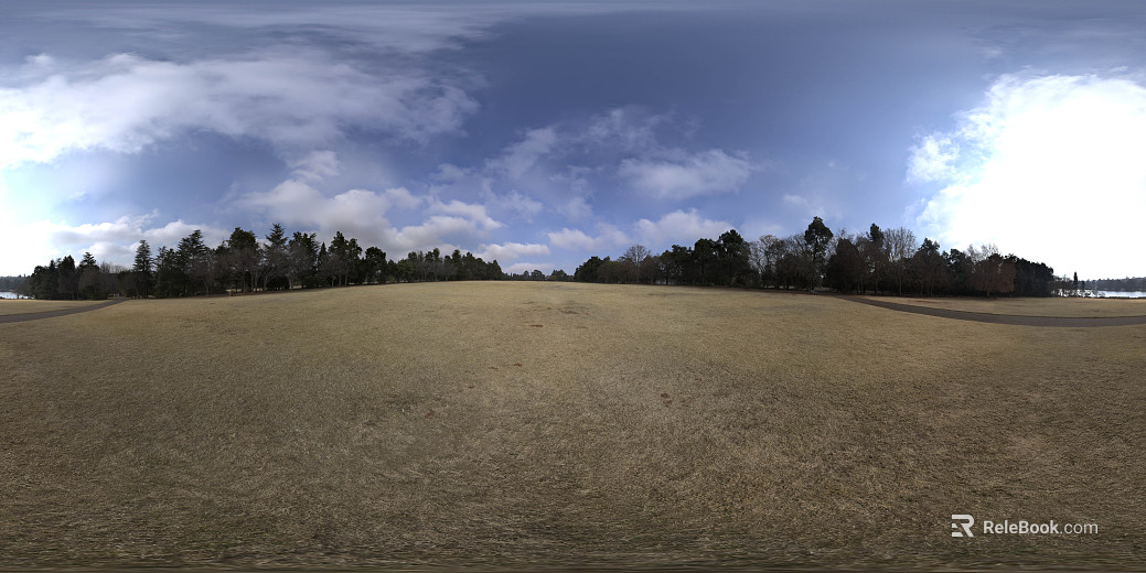 Outdoor Woods Meadow Day HDR texture