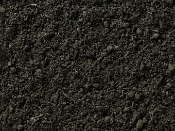Mud 3d model