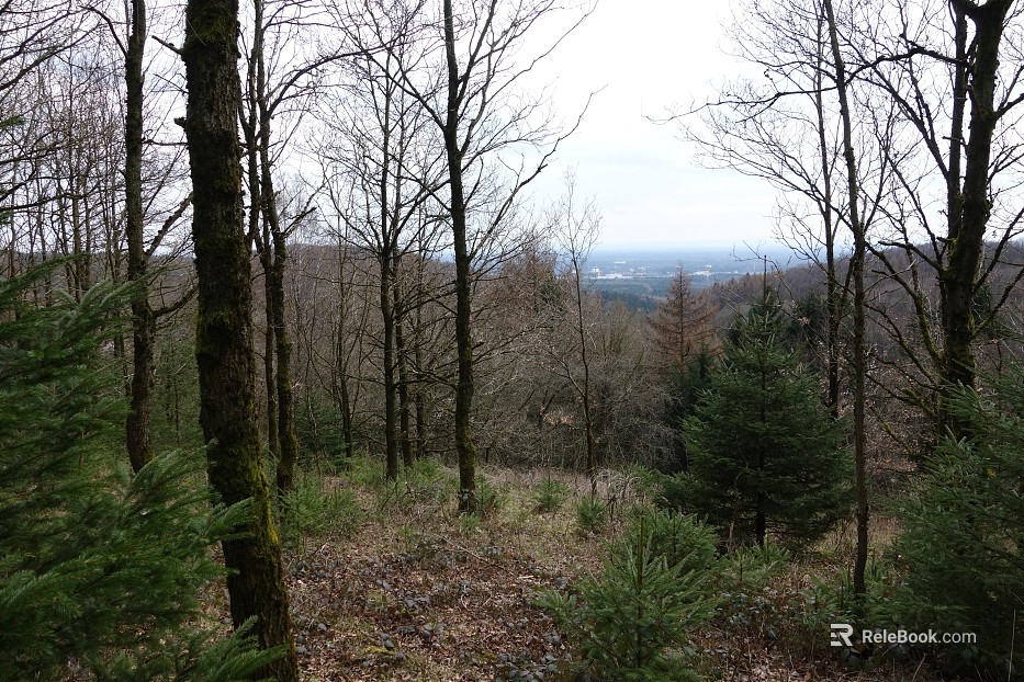 Wild Scenery texture