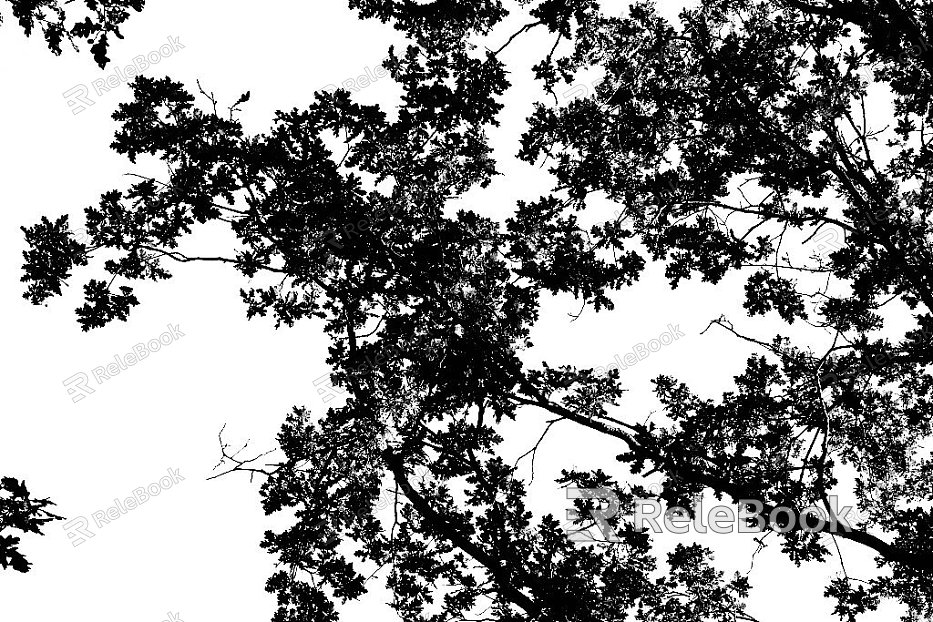 black and white tree shadow texture