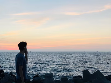 Wild Scenery texture (ID:ffaef6468)