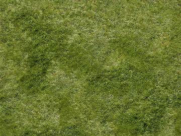 Turf texture (ID:ffaeg91933)
