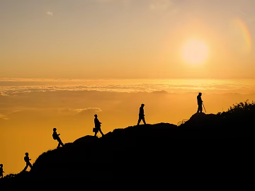 Wild Scenery texture (ID:ffach468611)