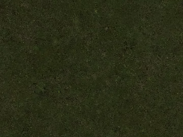 Turf texture (ID:ffach052436)