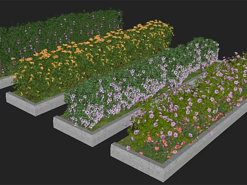 Mixed Color Flower Border Garden Greening Planting 3d model