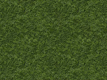 Turf texture (ID:ffabg67277)