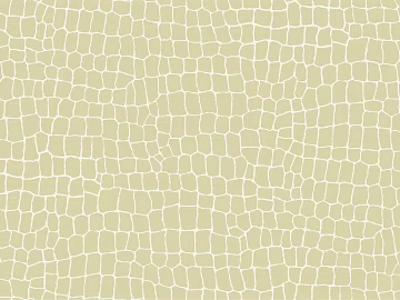 geometric line texture (ID:ffacg82372)