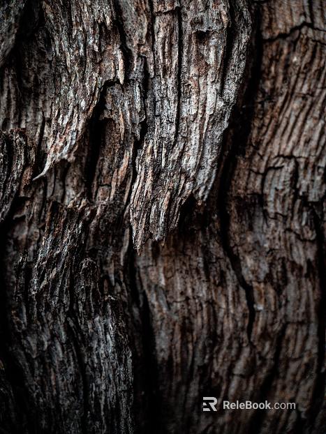 bark texture