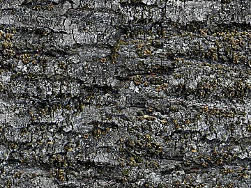 Rock wall texture (ID:ffaag70716)