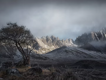 Wild Scenery texture (ID:ffaag80254)