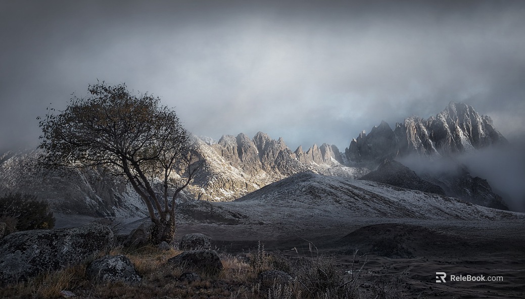 Wild Scenery texture