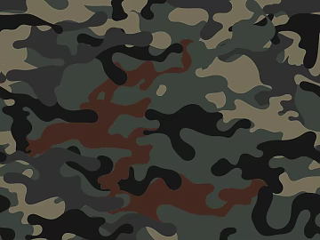 Camouflage texture (ID:ffach876516)