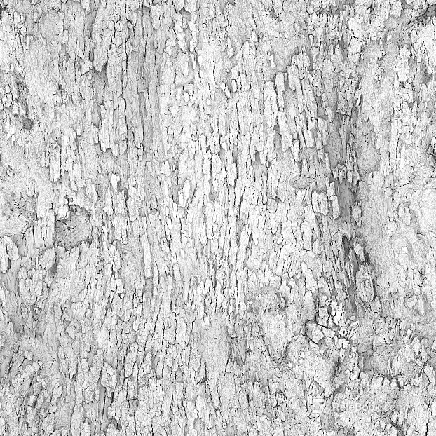 bark texture