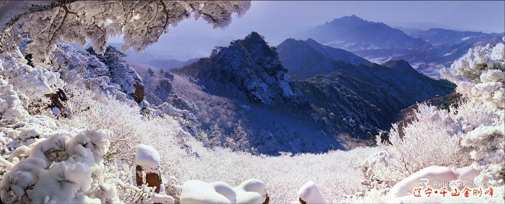 Wild Scenery texture