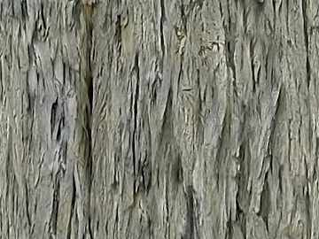 Gray-brown tree bark wall decoration texture (ID:ffaeh033889)