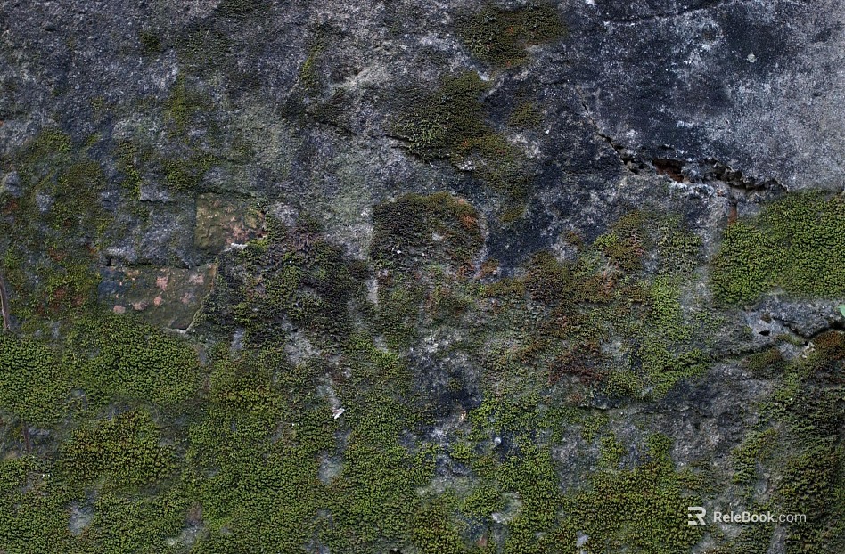 moss texture