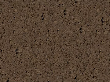 Mud texture (ID:ffach270406)