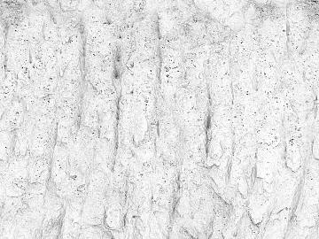 Black and White Bump texture (ID:ffacg61946)