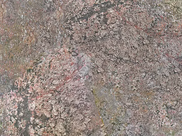 Stone texture (ID:ffaif4447)