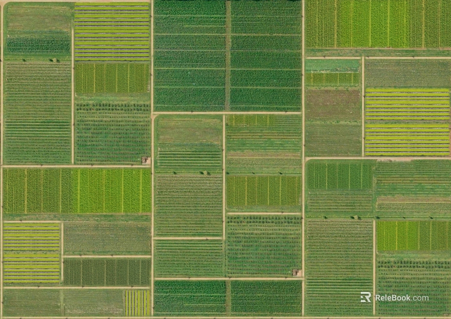 Aerial view of green farmland texture