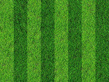 Turf texture (ID:ffaag66356)