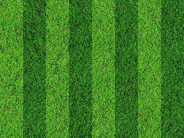 Turf texture (ID:ffaag66356)