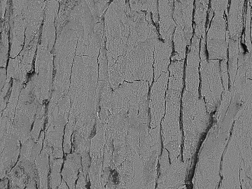 Black and White Bump texture (ID:ffacg03567)