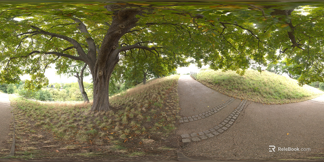 Park Meadow Traverway Daytime HDR texture